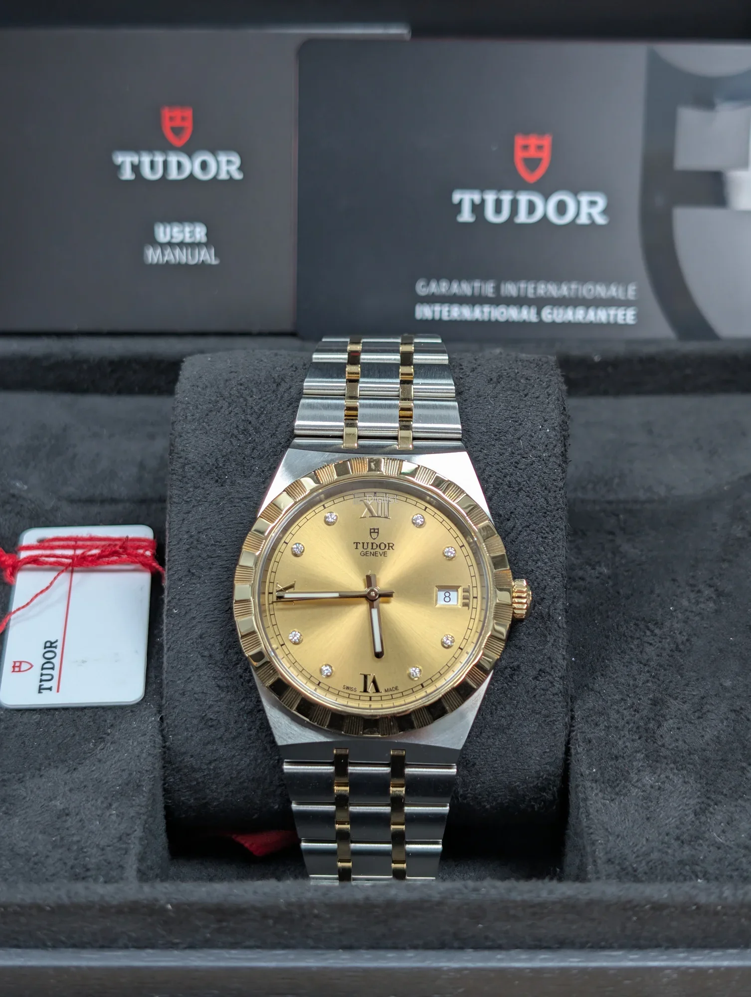 Tudor Royal