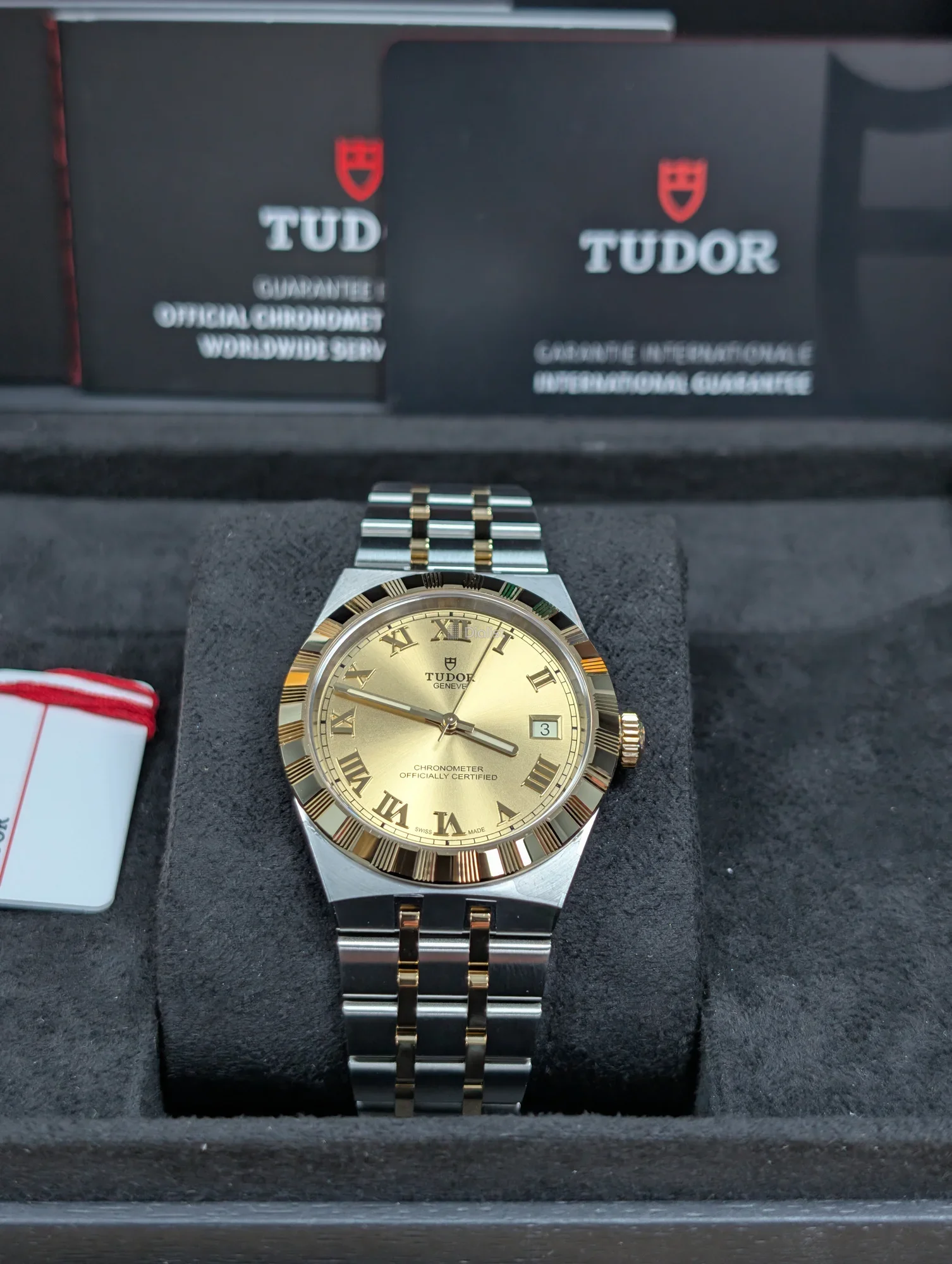 Tudor Royal